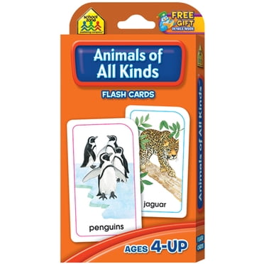 CMMI Cartes FLASH Animaux