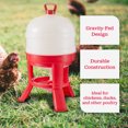 thumbnail image 4 of Little Giant DOMEWTR8 Arroseur Gravité pour Volaille Poulet 8 Gallons, 4 of 11
