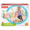 thumbnail image 3 of Fisher-Price Poussette/marchette Stroll-Along Walker, 3 of 9