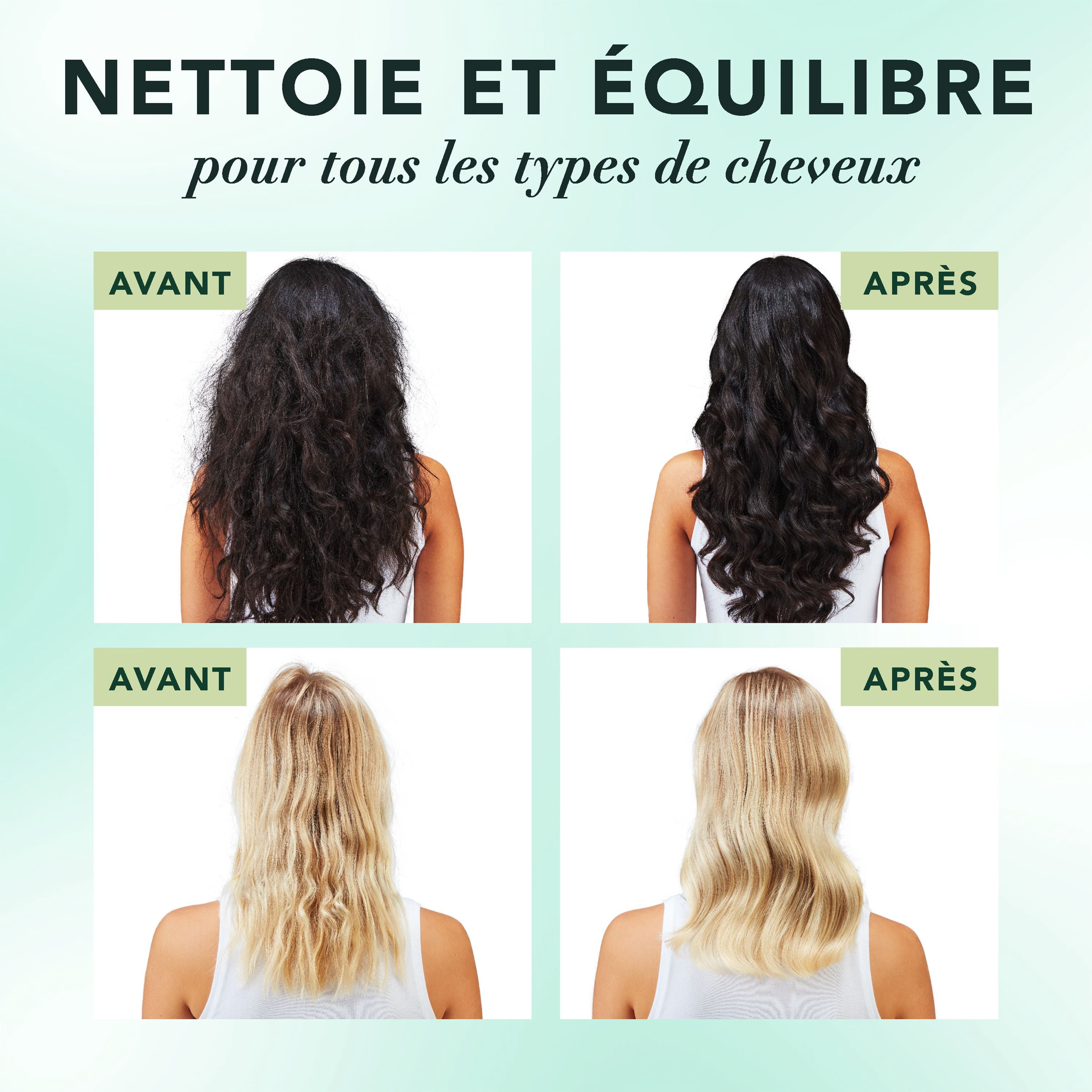 Shampooing Herbal Essences Cuir Chevelu et Purification, Nettoie Le Cuir Chevelu Pour Des Cheveux Doux, Eucalyptus, Sans Sulfate, 400 mL