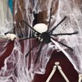 thumbnail image 2 of Miangastore BESPORTBLE Artificial Spider Simulation Plush Toy Black Color Lifelike Spider Toy Halloween Fake Spider, 2 of 8