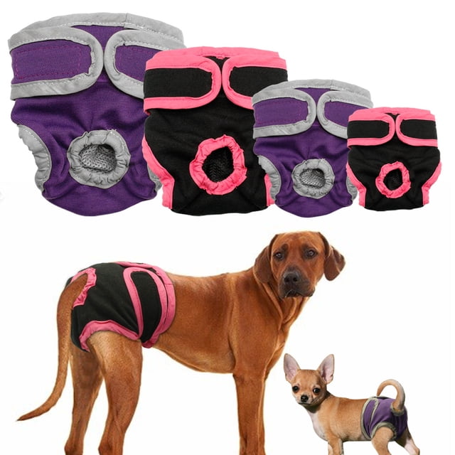 Couches Lavables pour Chiennes, Enveloppes de Couches Réutilisables pour Chienne, Super Absorbantes et Confortables