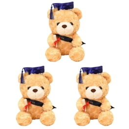 Vêtements Personnalisés Pour Ours De Graduation – Avec Photo, Texte, Casquette Et Accessoires – Taille 20-40 Cm – Cadeau Sur Mesure Enfant