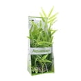 thumbnail image 2 of Fluval Bamboo Shoots Plant for Aquarium, 14-Inch, 2 of 3