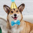 thumbnail image 4 of Langgg Nœud d'Anniversaire pour Chat et Chien, 4 of 9