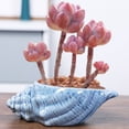 thumbnail image 3 of Xingzhi Exquisite And Beautiful Appearance Ceramic Flower Pot For Garden Cultivating type+1 WITH HOLES, 3 of 6