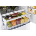 thumbnail image 3 of Classic Retro 24 In 12 Cu.ft. Bottom Mount Refrigerator Auto Defrost, Energy Star Certified, Counter Depth with Manual Ice maker, 3 of 16