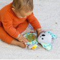 thumbnail image 4 of Cherche et écrase le koala sensoriel, 4 of 5