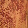 thumbnail image 1 of Ahgly Company Machine Washable Indoor Square Transitional Neon Orange Area Rugs, 8' Square, 1 of 7