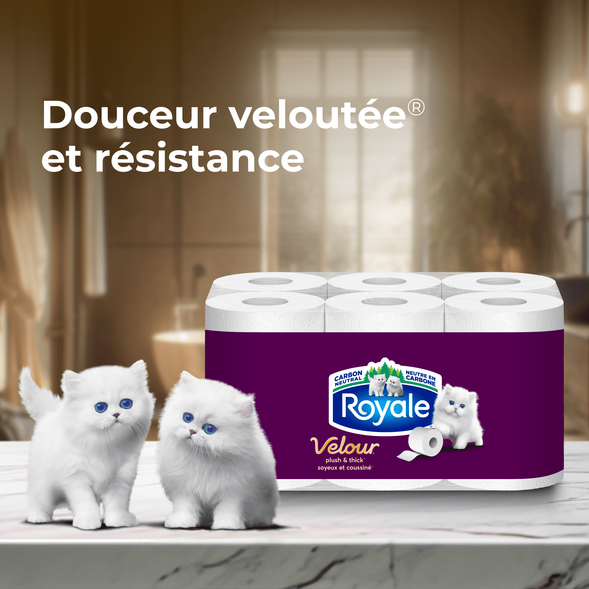Royale Papier Hygiénique Velour, 24 équivalant à 48 rouleaux