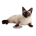 thumbnail image 1 of One Paw, Vegan Leather Safety Cat Collar, Breakaway Buckle, for Cats, 1 of 9