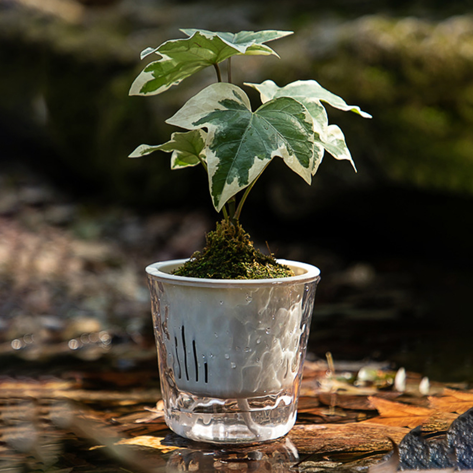 Danhjin Plast Ic Flowerpot Transparent Flower Pot Double Layer Water Storage Flower Pot Small Planting Pot Lazy Office Flower Pot Flower Pots