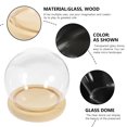 thumbnail image 4 of 1 Piece Display Case Dome For Preserved Flowers Clear Glass Spherical Square Base Valentine's Day Gift, 4 of 9