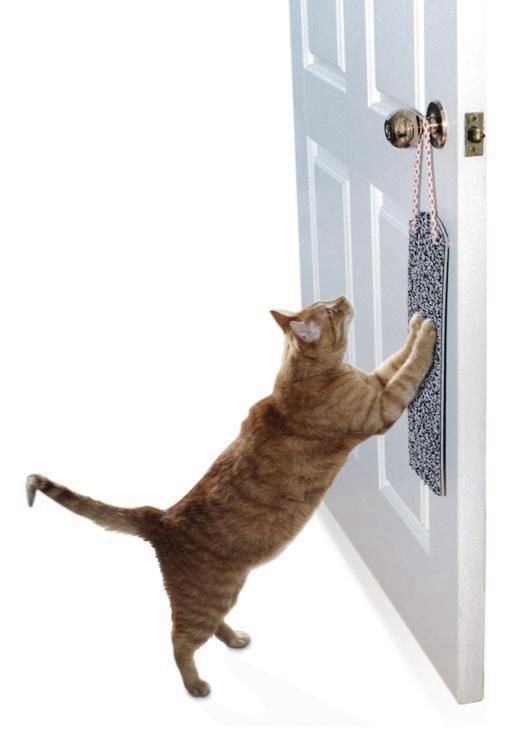 Tapis à griffer Omega Paw pour chats, s'accroche à n'importe quelle poignée de porte.