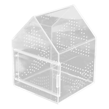 jinwen Jumping Spider Enclosure Acrylic Tarantula Enclosure for Gecko Snail Lizards 17cmx17cmx22cm