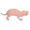 thumbnail image 3 of Plastic Mole Model, Lifelike Interesting Safe Plastic Mole Figurine Widely Use  For Collection For Office Decoration For Children, 3 of 8