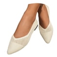 thumbnail image 1 of Womens Mesh Pointy Toe Dressy Shoes Breathable Spring Fall Slip on Low Heels Walking Flat Office Work Loafers, 1 of 6
