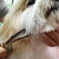 thumbnail image 2 of CHUANK Dog Grooming Scissors with Safety Round Tips Stainless Steel Professional Dog Grooming Kit - Thinning  Curved Scissors and Comb for Dog Cat Pet, 2 of 8