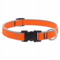 thumbnail image 1 of Collier pour Chien 3/4x9-14 Pouces OD -48301, 1 of 1