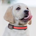 thumbnail image 1 of Dvkptbk Light Up Dog Collar, USB Rechargeable LED Pet Collars Waterproof Glowing Dog Collar for Small Medium Large Dogs Night Walking (Red Large), 1 of 2