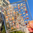 thumbnail image 4 of 5 Sizes Acrylic Clear Magnetic Storage Box Seashell Display Showcase Mini Jewelry Display Case Organizer, 4 of 12
