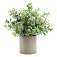 thumbnail image 1 of GUOOL Mini Potted Plants Gray Pulp Pot Small Plastic Greenery Bonsai Artificial Potted Desmodium, 1 of 9