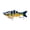 E 5, variante sur Lisbinx Swimbait Coulant à Plusieurs Étapes pour Poisson / Construction en Fibre Durcie de 10 cm / Motifs Réalistes Peints à la Main / Action Réaliste pour Achigan, Marsault, Poisson-Chat
