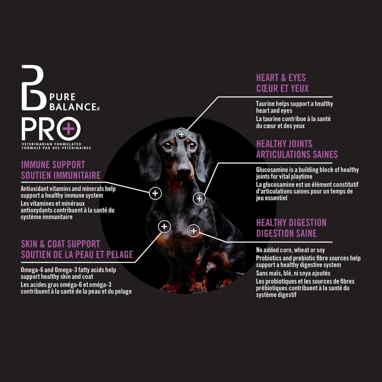 Pure Balance Pro+ Petite Race, Recette d'Agneau et de Riz Nourriture Sèche pour Chiens 3.5KG