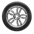 thumbnail image 3 of Radar Dimax All Weather 195/65R15 91H BSW pneu, 3 of 7