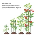 thumbnail image 3 of Tomato Cage, Sturdy Steel Core and Stable Support Garden Cage Ergonomic Design Tomato Trellis Triangular Tomatoes Plant Stakes for Outdoor Garden and Pots, 3 of 7