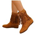 thumbnail image 1 of Dakaela Bottes Mi-Mollet en Suède à Franges pour Femmes, Bout Rond, Style Western, Bottillons à la Cheville, Chaussures Habillées d'Extérieur, 1 of 8