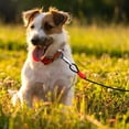 thumbnail image 1 of Durable Double Hook Steel Wire Dog Leash for Small and Medium Dogs Heavy Duty Chew Pet Tether for Outdoor Training and Secure Walking Control, 1 of 3
