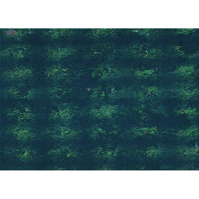 Ahgly Company Machine Washable Indoor Rectangle Transitional Teal Green Area Rugs, 2' x 5'
