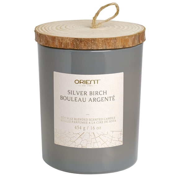 ORIENT 16OZ Silver Birch Soy Wax Blended Scented Candle,2 cotton wick