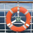 thumbnail image 2 of CUITING Swimming Life Ring Holder Multi-use Boat Hook Swimming Pool Fence Life Ring Hook, 2 of 6