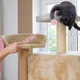 thumbnail image 5 of Hanging Cat Litter Tea Set, 5 of 5