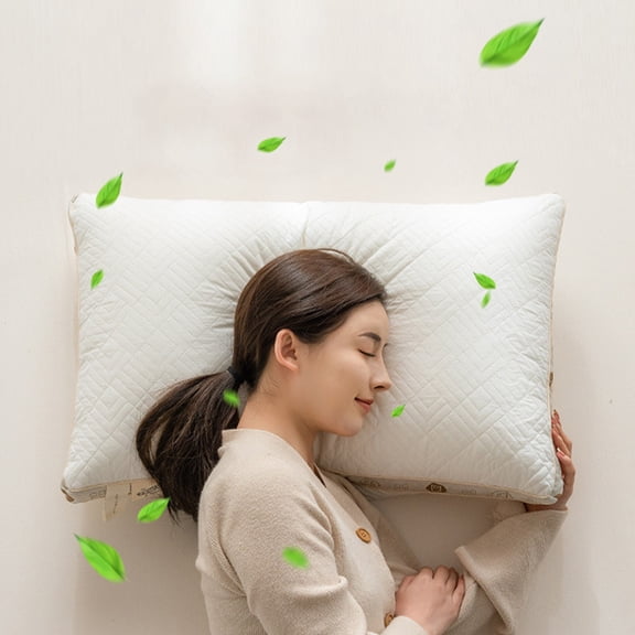 HOARBOEG Soy Fiber Pillow - Soft And Breathable For Restful Sleep