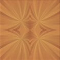 thumbnail image 1 of Ahgly Company Tapis d'Intérieur Lavable à la Machine, Carré, Transitionnel, Orange Rouge Orange, Tapis de Zone, 8 Pieds Carré, 1 of 7