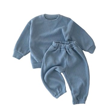 Zshosam Ensembles pour Filles Filles Ensemble Décontracté 2 Pcs Hauts à Manches Longues Pantalon Legging à Imprimé Floral Ensemble de Vêtements pour Enfants 2 Pcs Taille 3 6 Mois,(Bleu Clair 3-6 Mois)