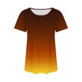 thumbnail image 5 of Plebaso Hauts pour Femmes Été Manches Courtes Col Rond Tunique Chic Ample Mode Blouses à Dégradé de Couleurs, 5 of 5