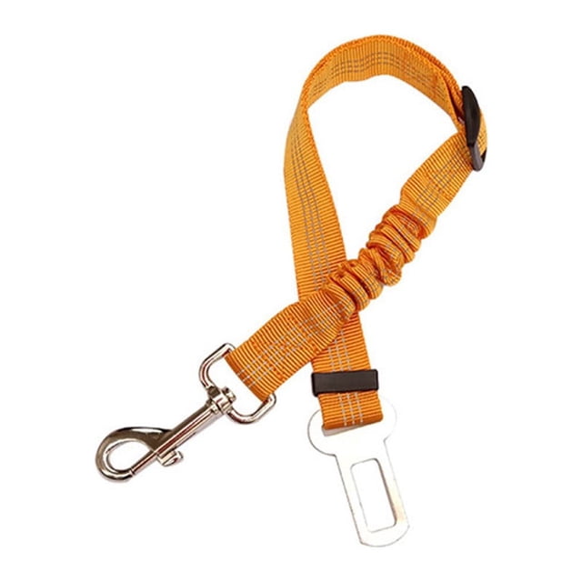 LSLJS Never Put Your Dog In Danger on The Road Again, Pet Supplies