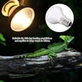 thumbnail image 3 of 4Types 220-230V Night Heat Light Lamp Bulb for Bird Snake Reptile Pet Amphibian, 3 of 8