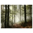 thumbnail image 2 of Tableau moderne imprimée sur toile Design Art Lumière en foret, 2 of 3