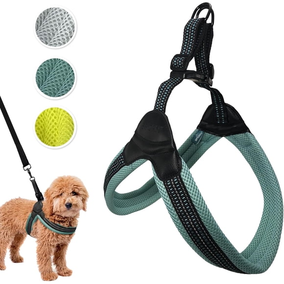 Sporn Easy-Fit Mesh Dog Harness Large Sized Dog, Turquoise Soft Fabric Nylon No Choke Dog Harness Large Size Dog Walking Harness