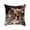 D, variant on Fasiaou Cat Pattern Throw Pillow Covers Decorative Outdoor Soft Pillowcases Home Decor Living Room Cushion Case for Bed Couch Car 18x18 Inch,B