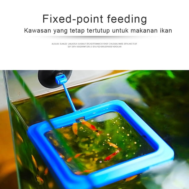 Distributeur de Nourriture pour Poissons en Forme Carrée avec Ventouse, Réduit les Déchets, Maintient la Qualité de l'Eau