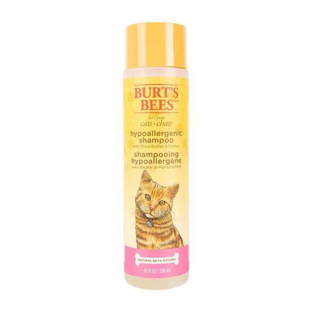 Burt's Bees Hypoallergénique Cat Shampoing Beurre de Karité Miel Bouteille de 10 fl oz avec Bouchon Jaune et Étiquette en Nid d'Abeille Mettant en Vedette un Chat Tigré orange Illustré, Formulé pour la Peau Sensible de Chat et le Conditionnement Naturel du Pelage Lors des routines de Toilettage de Chat.