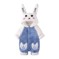 thumbnail image 1 of Diconna Infant Baby Fuzzy Bunny Costume Long Sleeve Hood Coat Button Down Warm Rabbit Romper, 1 of 4