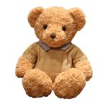 Nounours en peluche ours en peluche peluche jouet porter ours en pull jouet