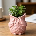 thumbnail image 5 of MKHSQHDG Today's Deals Owl Shaped Ceramic Succulent Planter Garden Container, 5 of 5